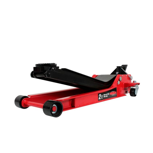 GATO DE PATIN ULTRA BAJO 2T MIKELS