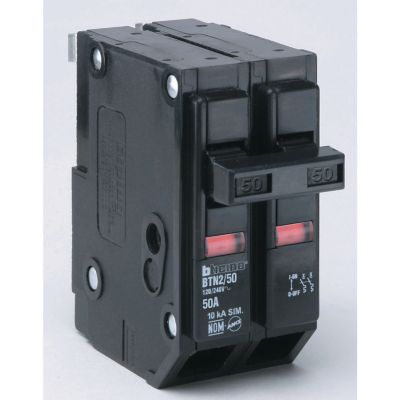 INTERRUPTOR TERMICO RILEZ 2X50 QP