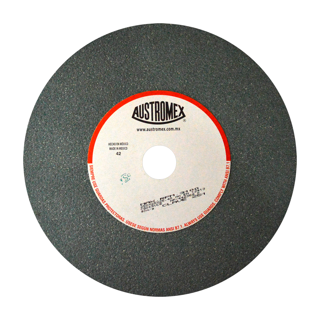 RUEDA ABRASIVA #251 10X1X1 T-1 G-80