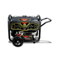 GENERADOR CORRIENTE ELECTRICA 8000W